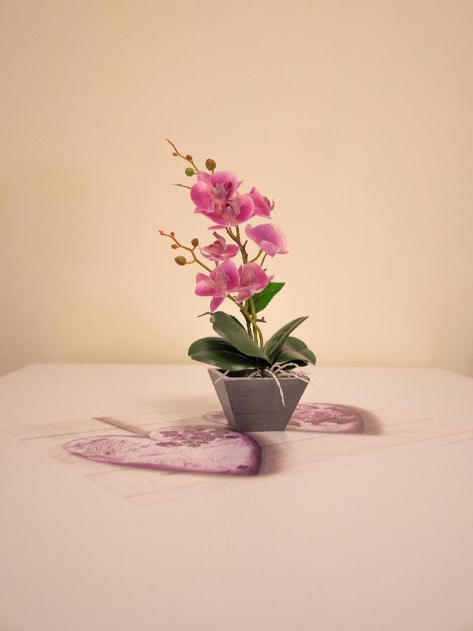 Appartamento Camelia House Bellano Esterno foto
